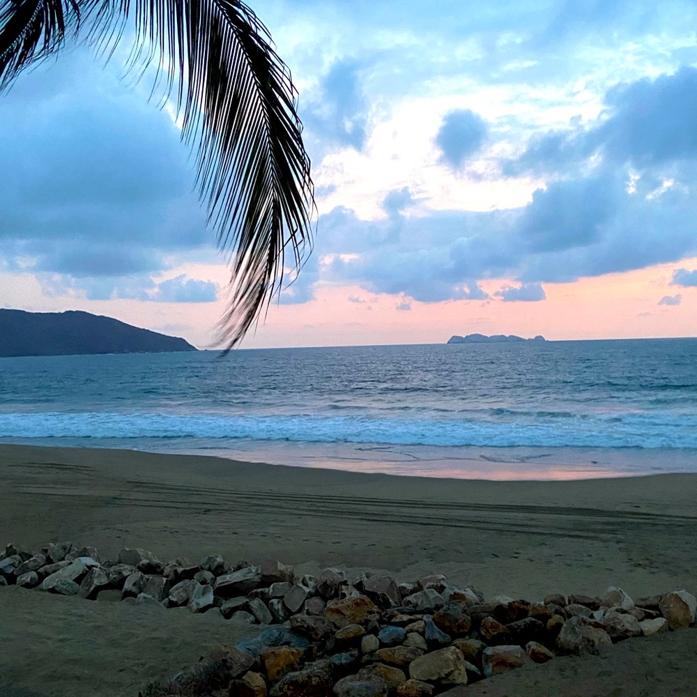 Meet your Posher, Adeline